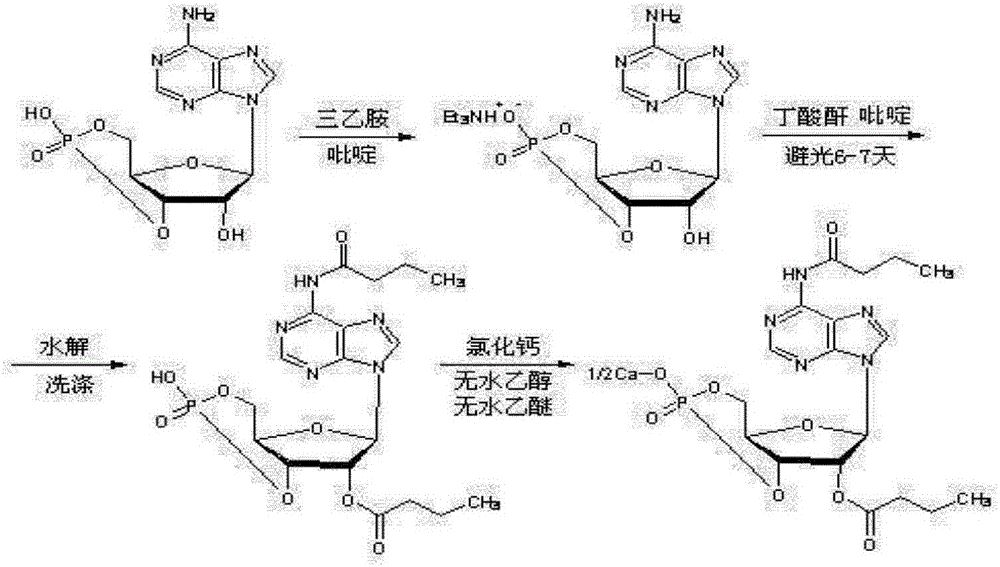 Calcium dibutyryladenosine cyclophosphate preparation method