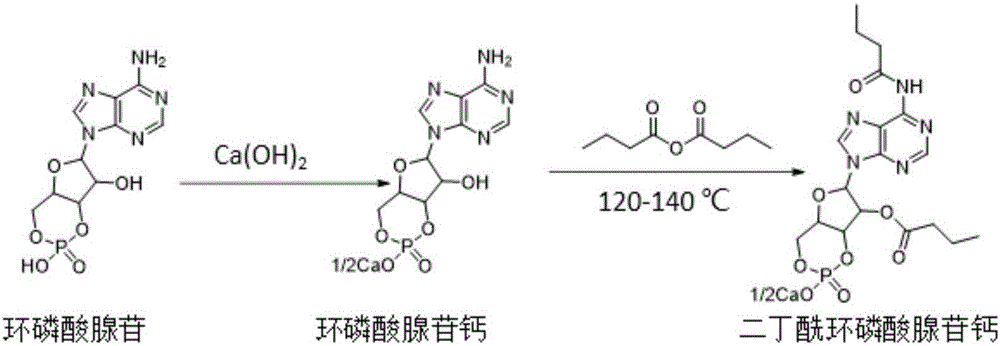 Calcium dibutyryladenosine cyclophosphate preparation method