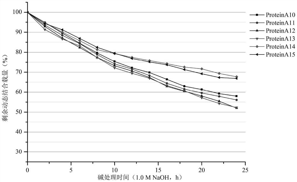 Preparation method of recombinant Protein A protein and affinity chromatography medium