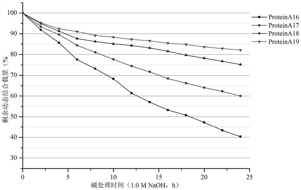 Preparation method of recombinant Protein A protein and affinity chromatography medium