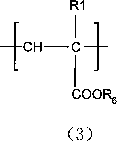 Amphoteric hair caring-fixing composite