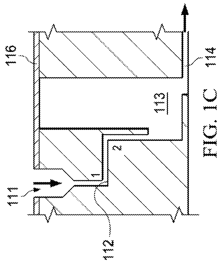 Multisample bionanochip platform