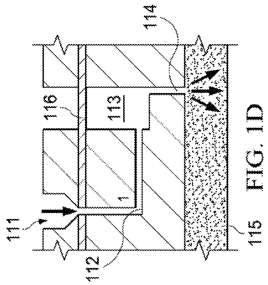 Multisample bionanochip platform