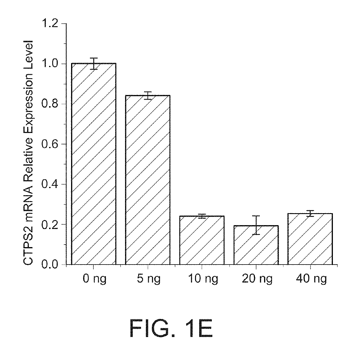 Compositions and methods for reducing neointima formation