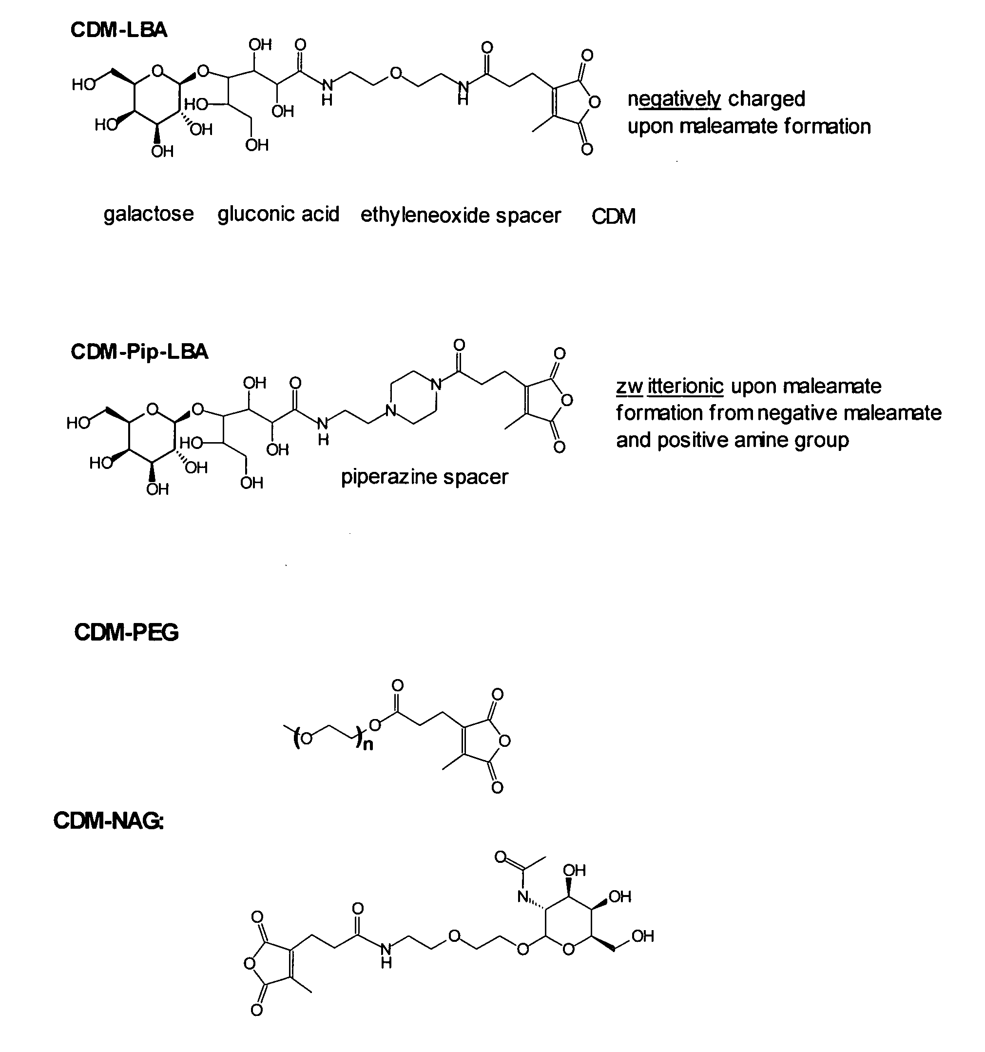 Endosomolytic Poly(Acrylate) Polymers