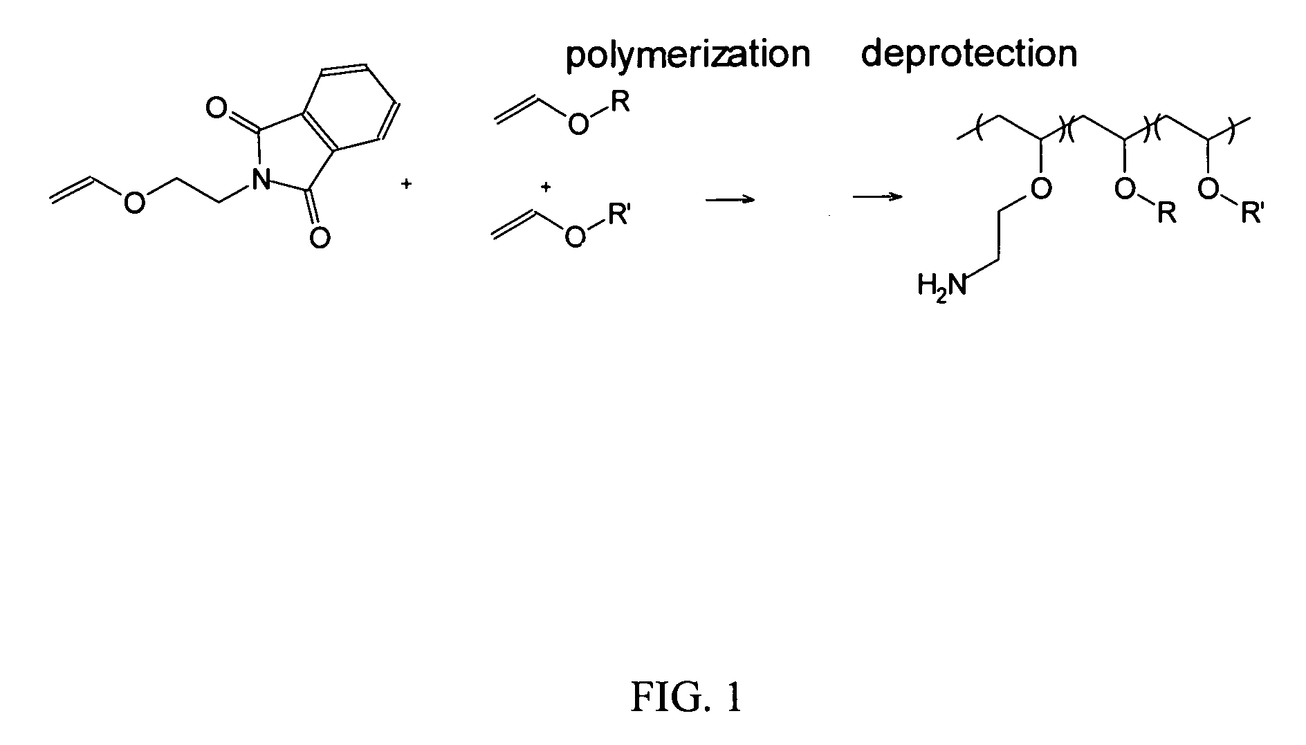 Endosomolytic Poly(Acrylate) Polymers