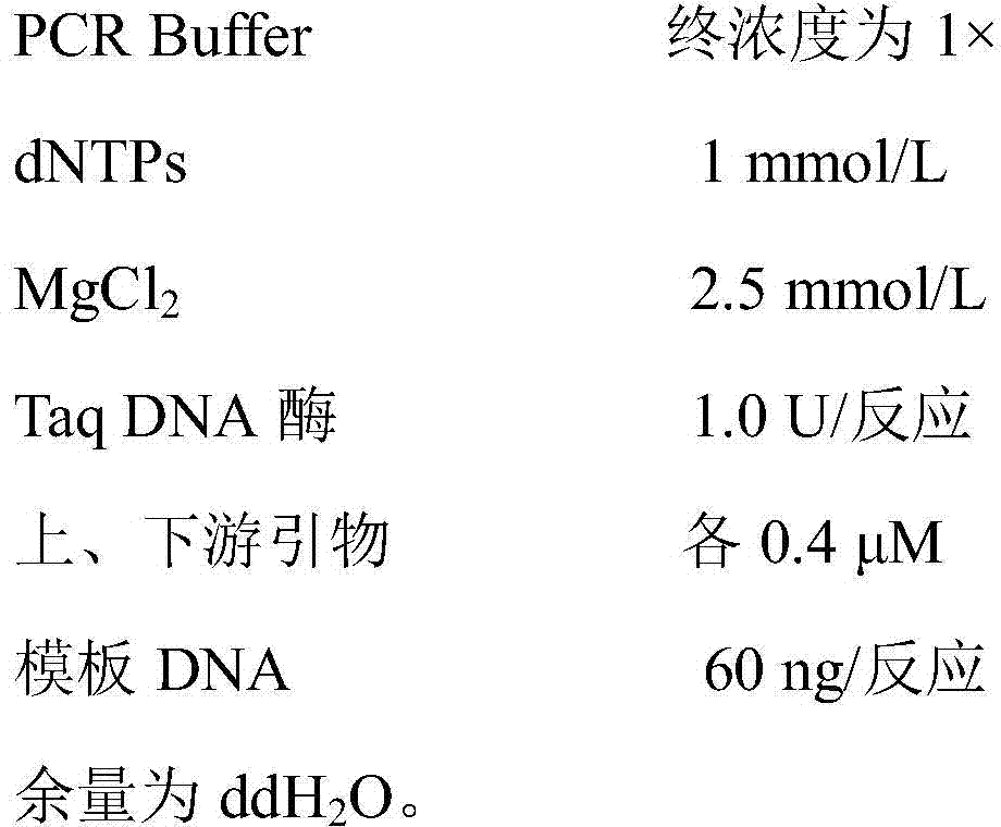 Specific labeling primers for Sakura Yae, Sakuya Hime and Yuqing Zhida