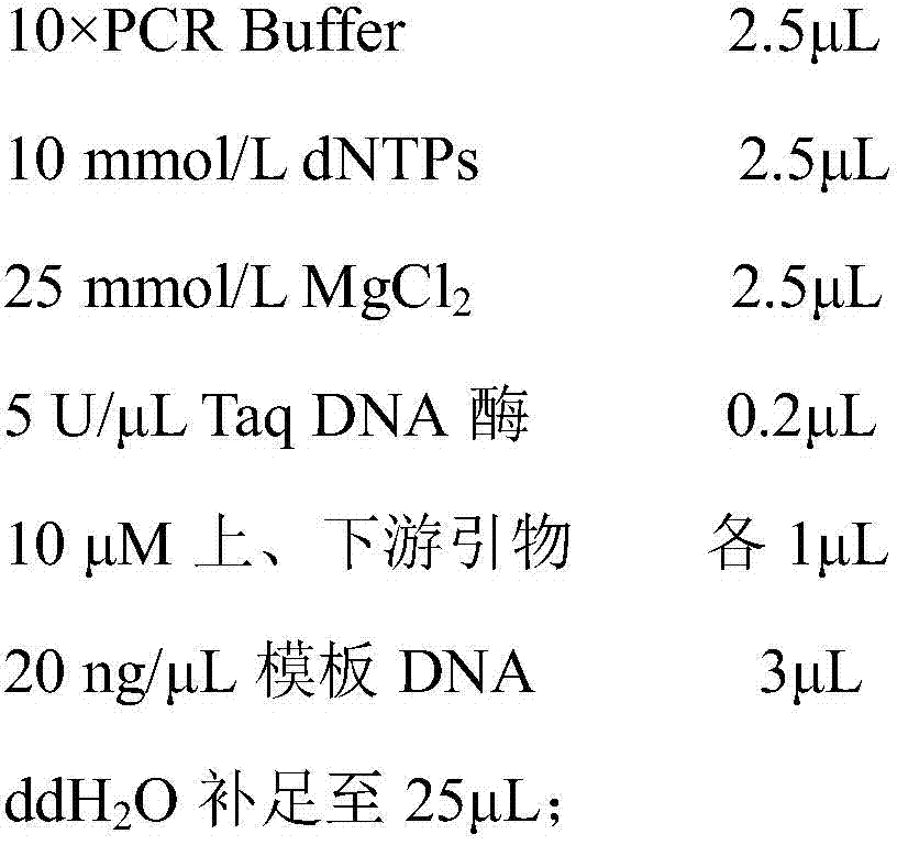 Specific labeling primers for Sakura Yae, Sakuya Hime and Yuqing Zhida