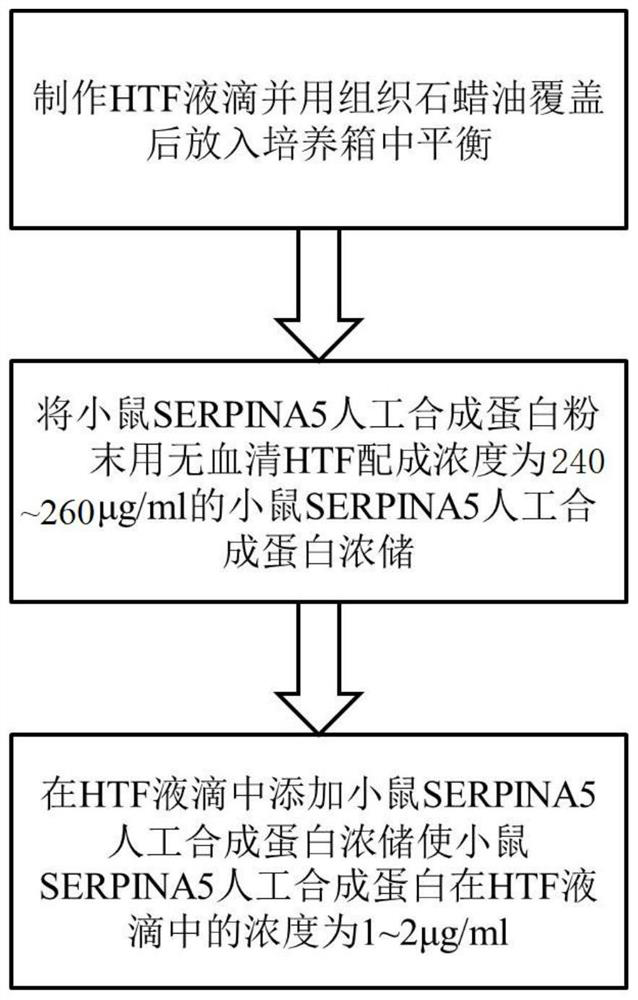 HTF liquid drop for improving fertilization ability of mouse sperms and preparation method and use method of HTF liquid drop