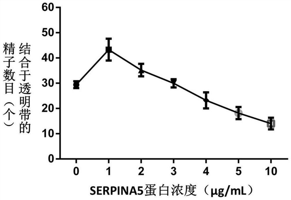 HTF liquid drop for improving fertilization ability of mouse sperms and preparation method and use method of HTF liquid drop