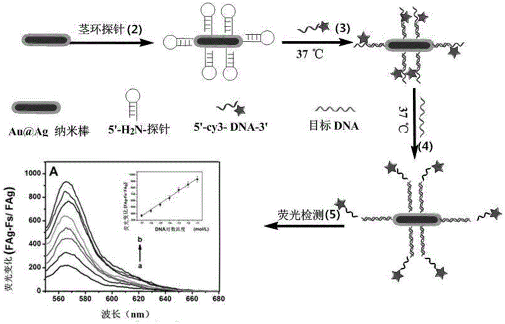 A kind of preparation method and application of silver-coated gold nanorods