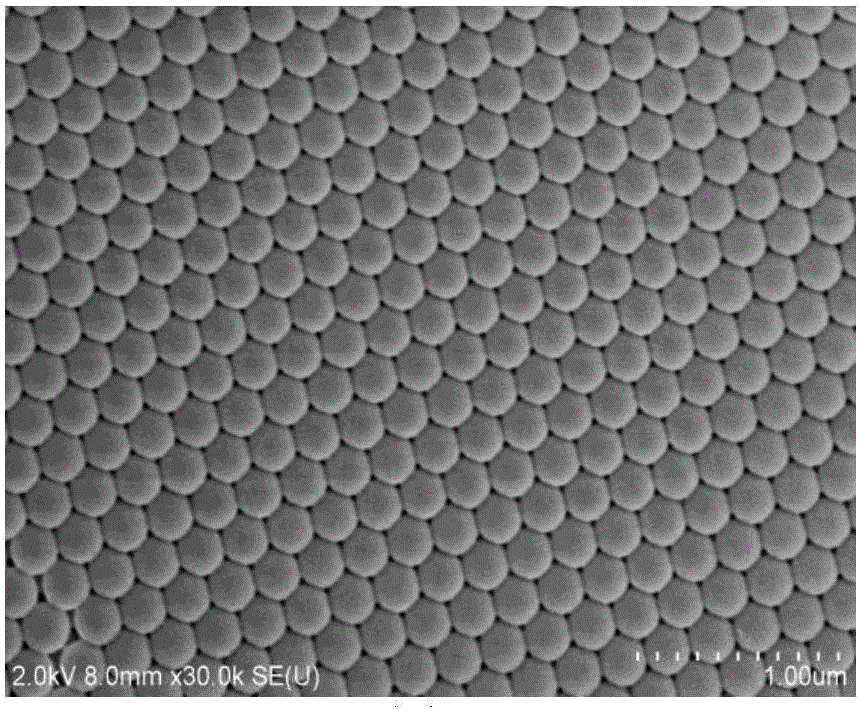 Inverse-opal hydrogel photonic crystal sensing film capable of realizing naked-eye detection of concentration of cadmium ion