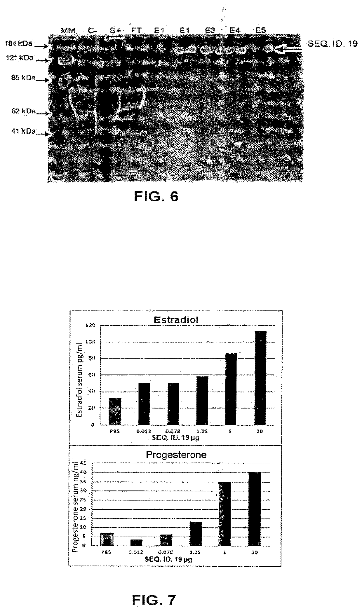 Method for producing and purifying hybrid or non-hybrid recombinant glycoprotein hormones, hybrid or non-hybrid recombinant glycoprotein hormones, expression vectors and uses of the recombinant glycoprotein hormones