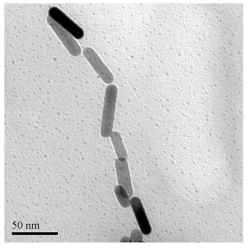 Rapid mercury detection method based on self-assembly of gold nanorods
