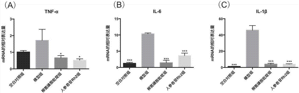 Application of ginsenoside Rh2 in preparation of medicines for preventing and treating inflammatory bowel diseases