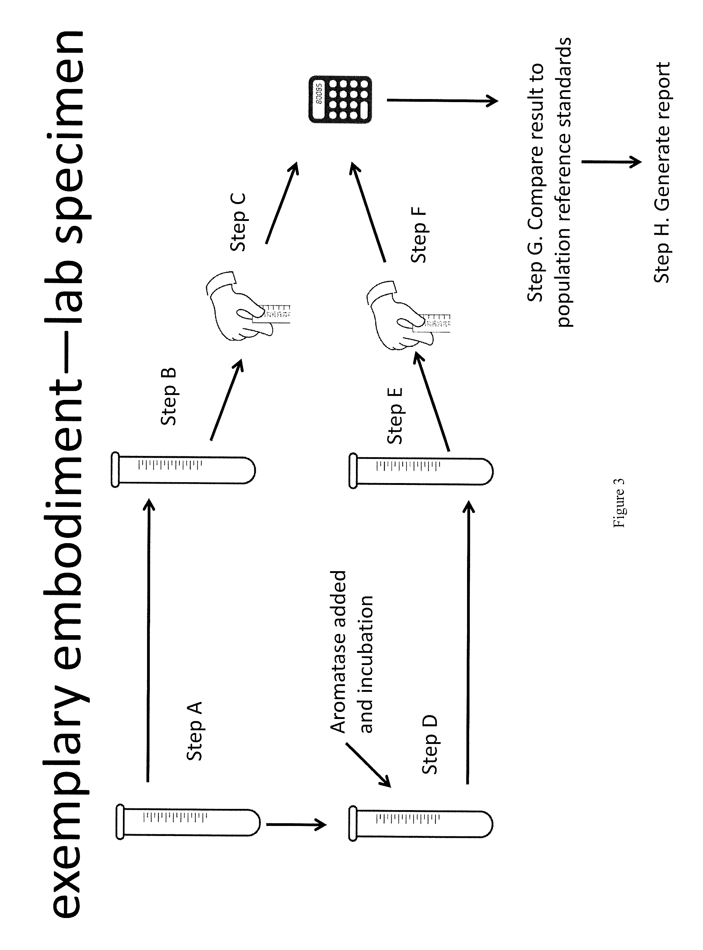 Method for measurement of bioavailable testosterone