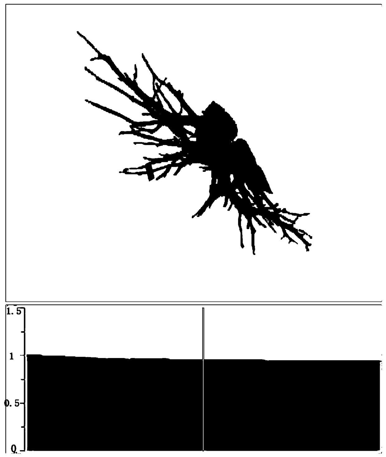 Blood vessel ordering method based on pulmonary artery CT image