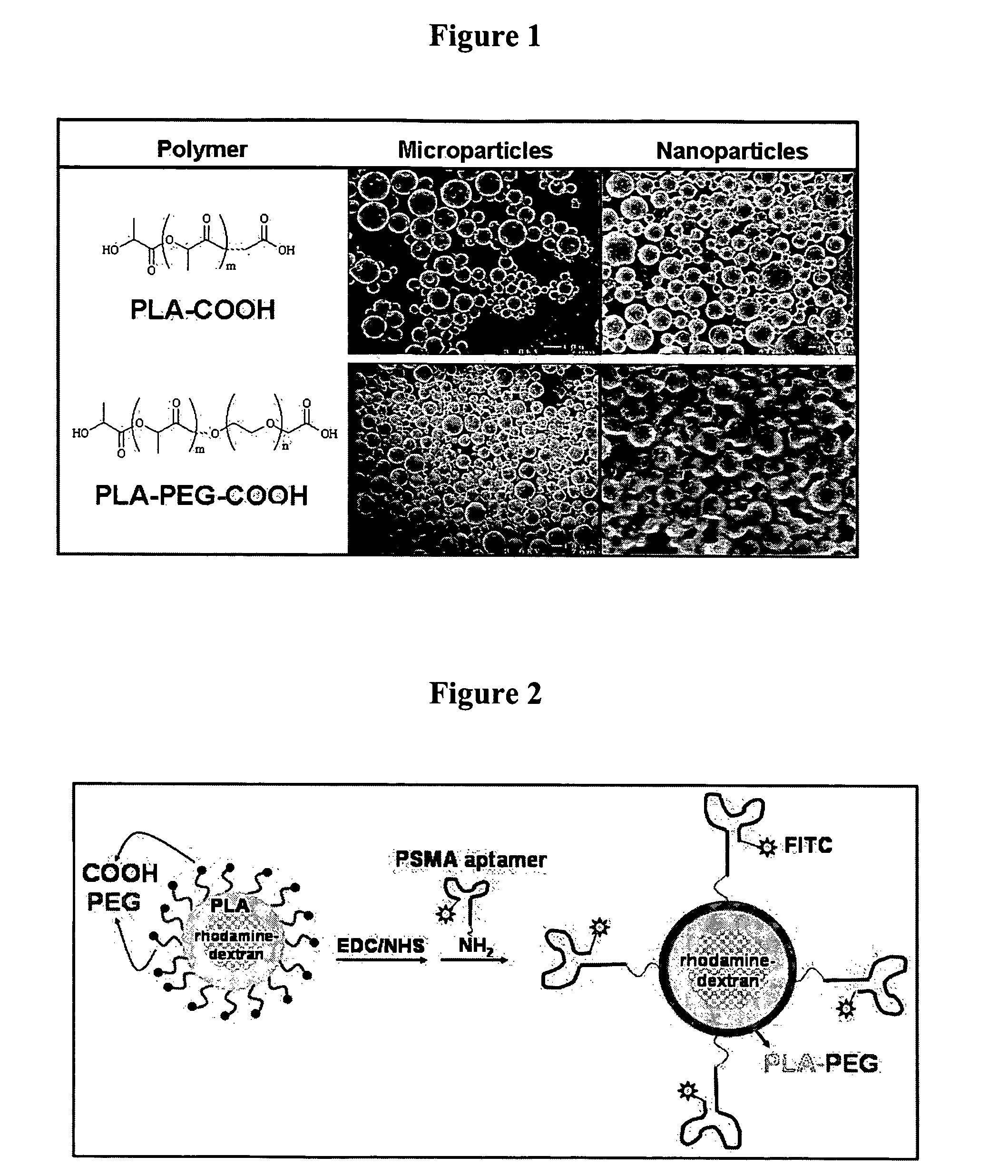 Controlled release polymer nanoparticle containing bound nucleic acid ligand for targeting