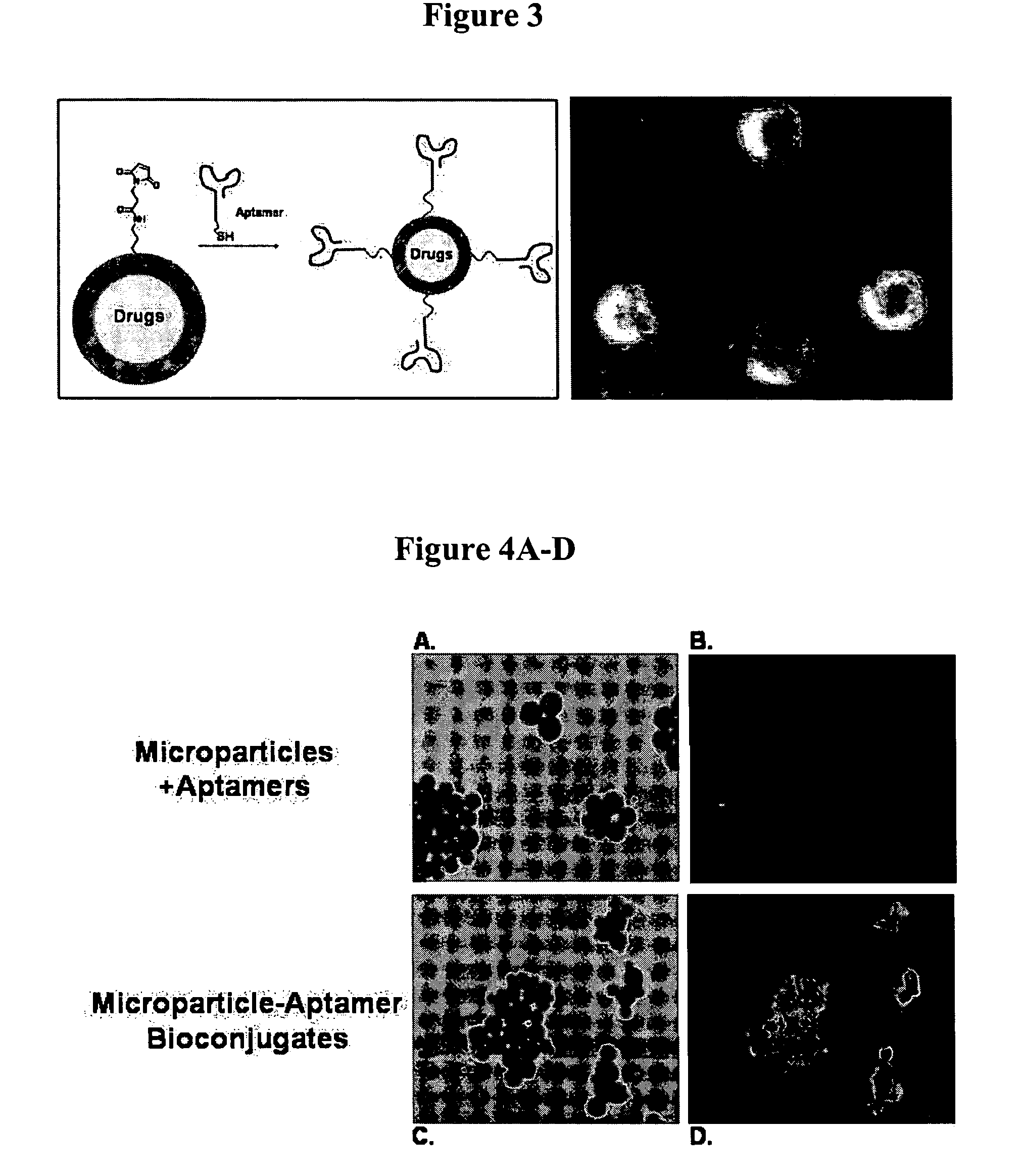 Controlled release polymer nanoparticle containing bound nucleic acid ligand for targeting