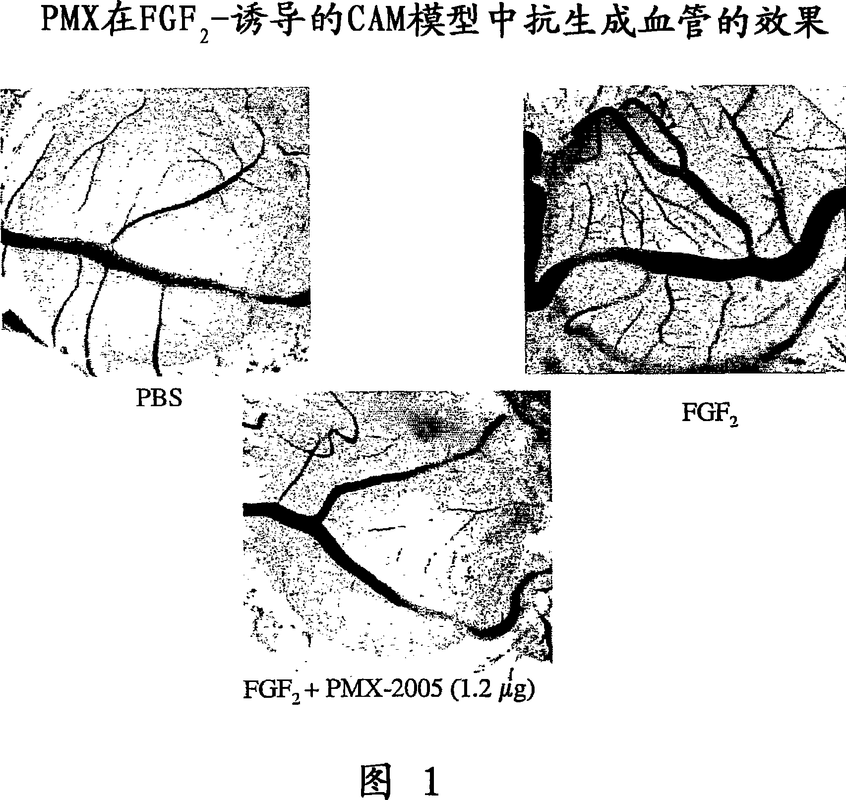 Polycationic compounds and uses thereof