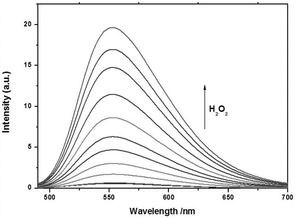 Application of a Fluorescent Probe in the Detection of Molecular Hydrogen Peroxide