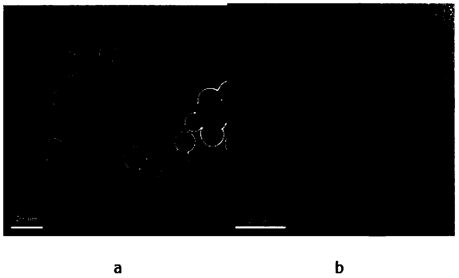 Colored toner prepared through in-situ miniemulsion polymerization and electrostatic agglomeration and preparation method thereof