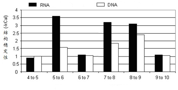 Omega structure oligonucleotide primer for detecting short chain ribonucleic acid (RNA) and application thereof