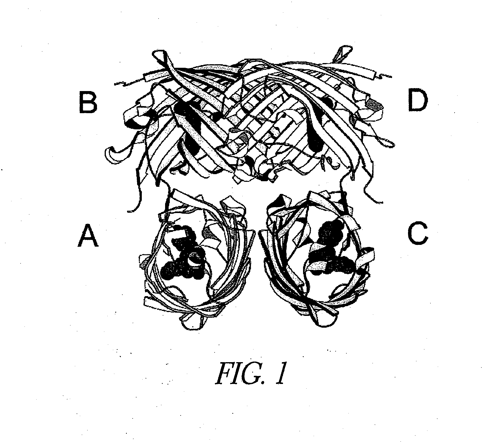 Monomeric and dimeric fluorescent protein variants and methods for making same