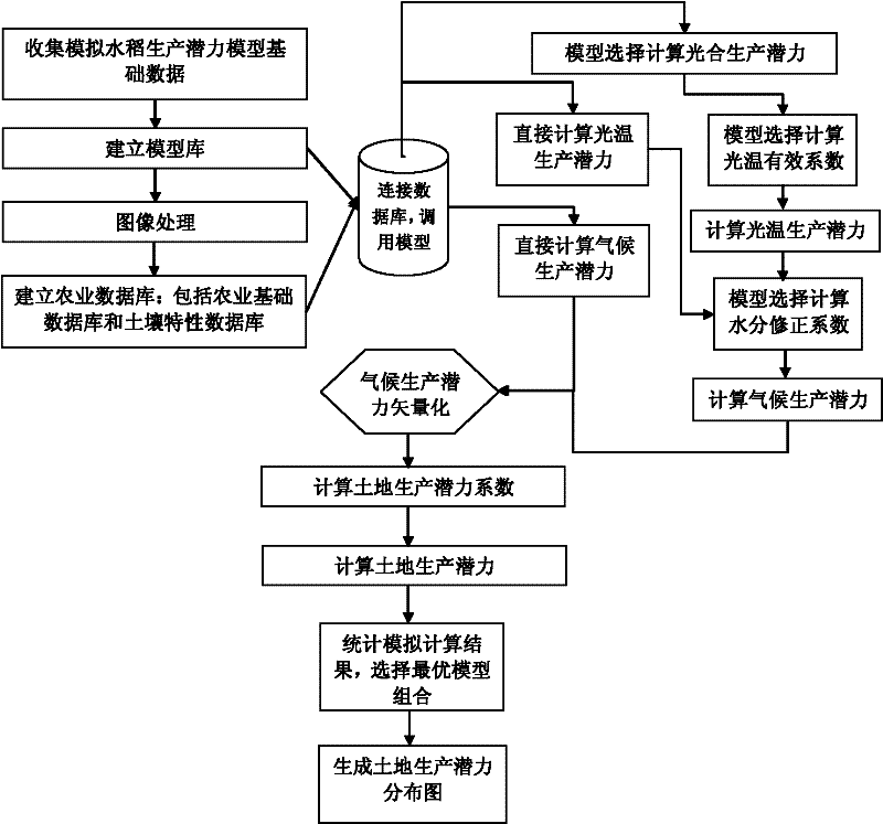 Method for dynamically predicting potential productivity of paddy rice based on geographical information system