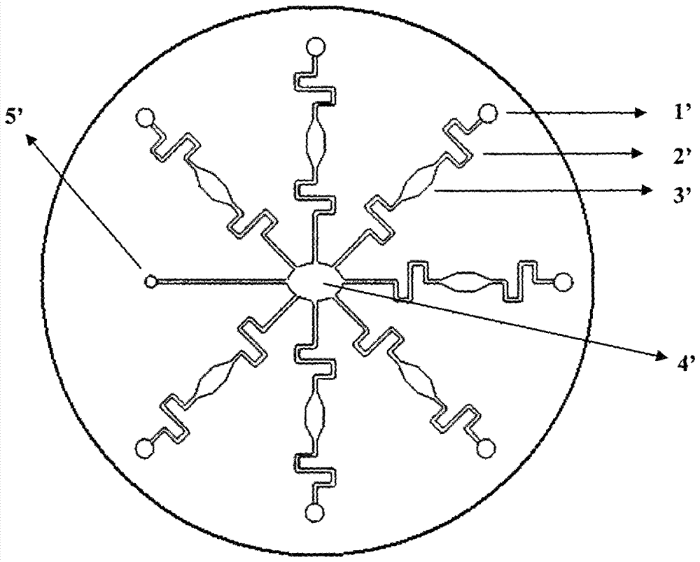 A Microfluidic Chip for Immunological Detection of Glycated Hemoglobin