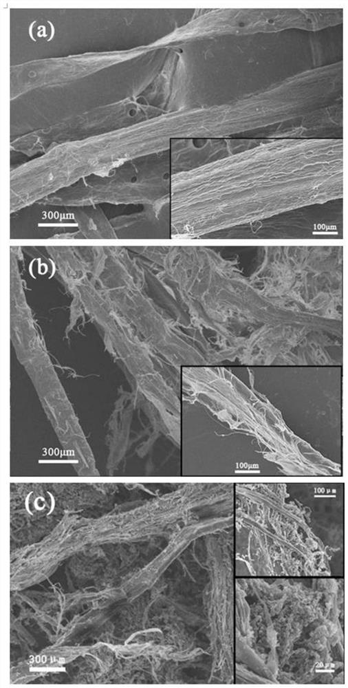 Preparation method and application of bionic xanthium sibiricum type antibacterial and antiviral plant fibers