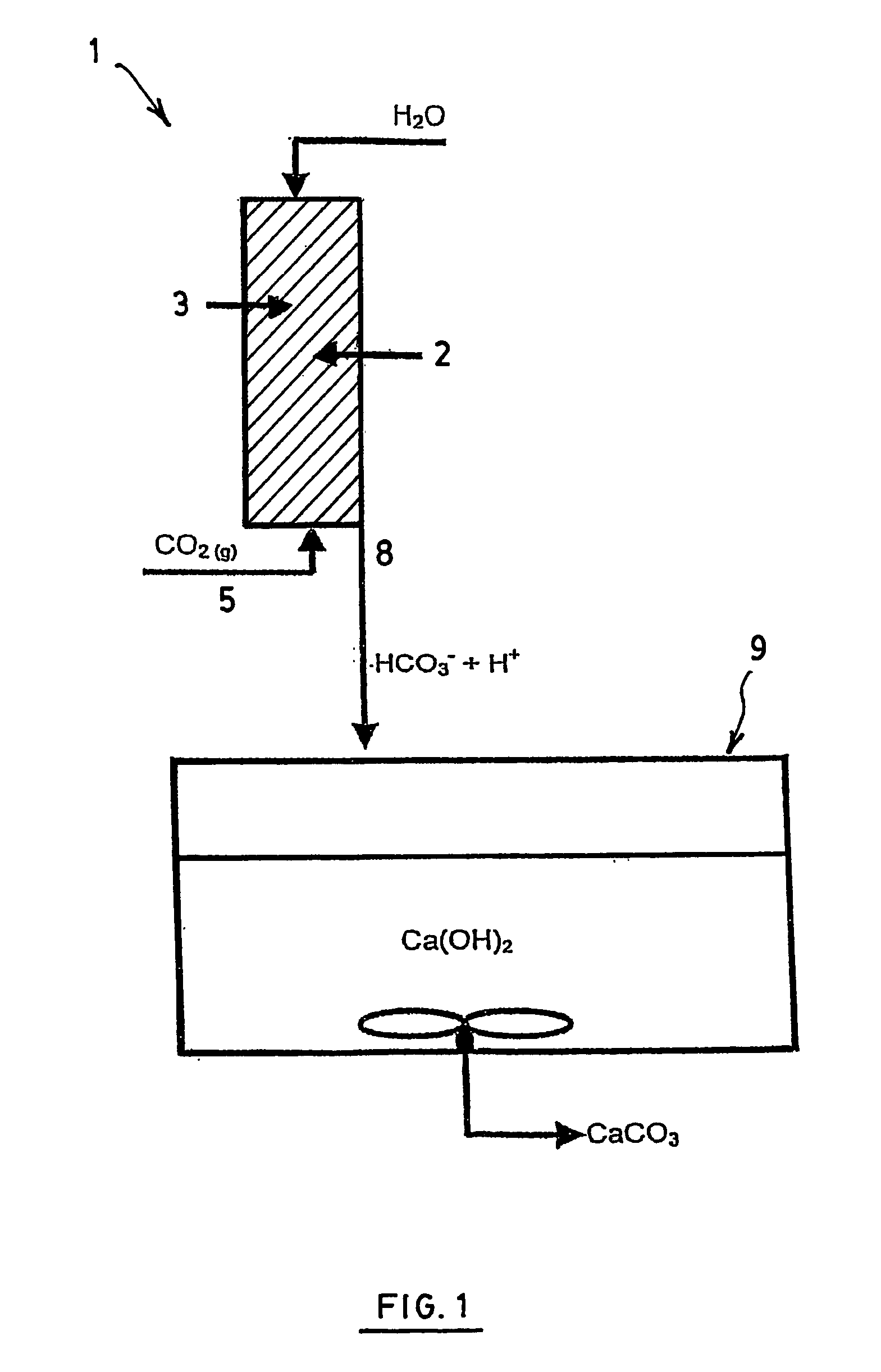 Process and an apparatus for producing calcium carbonate via an enzymatic pathway