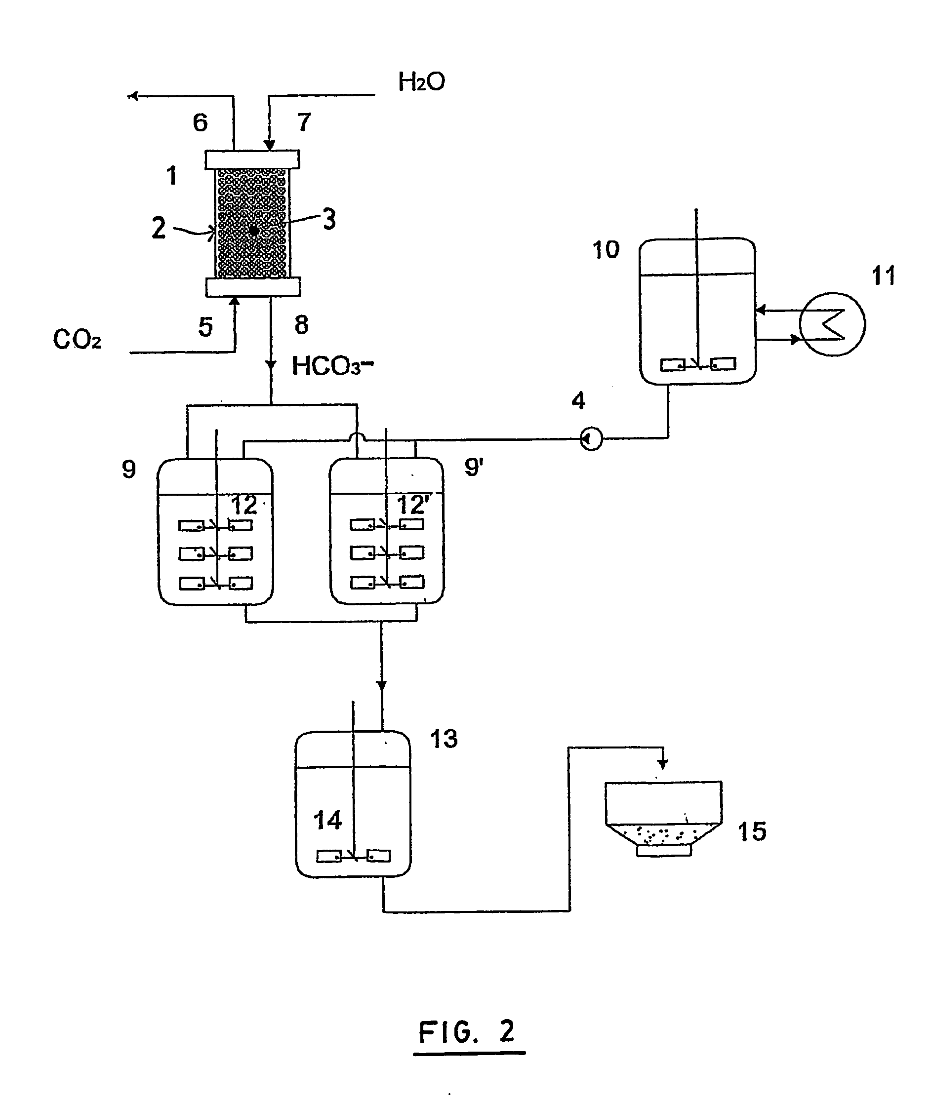 Process and an apparatus for producing calcium carbonate via an enzymatic pathway