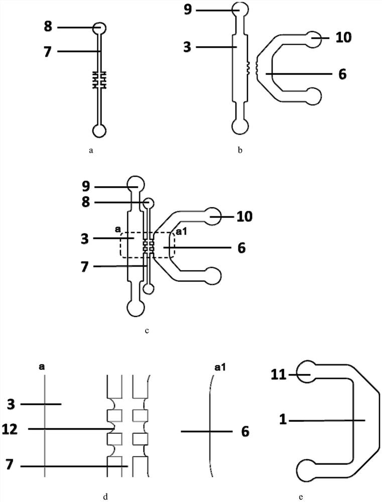 Intestine-kidney system for simulating drug absorption process in vivo based on microfluidic chip