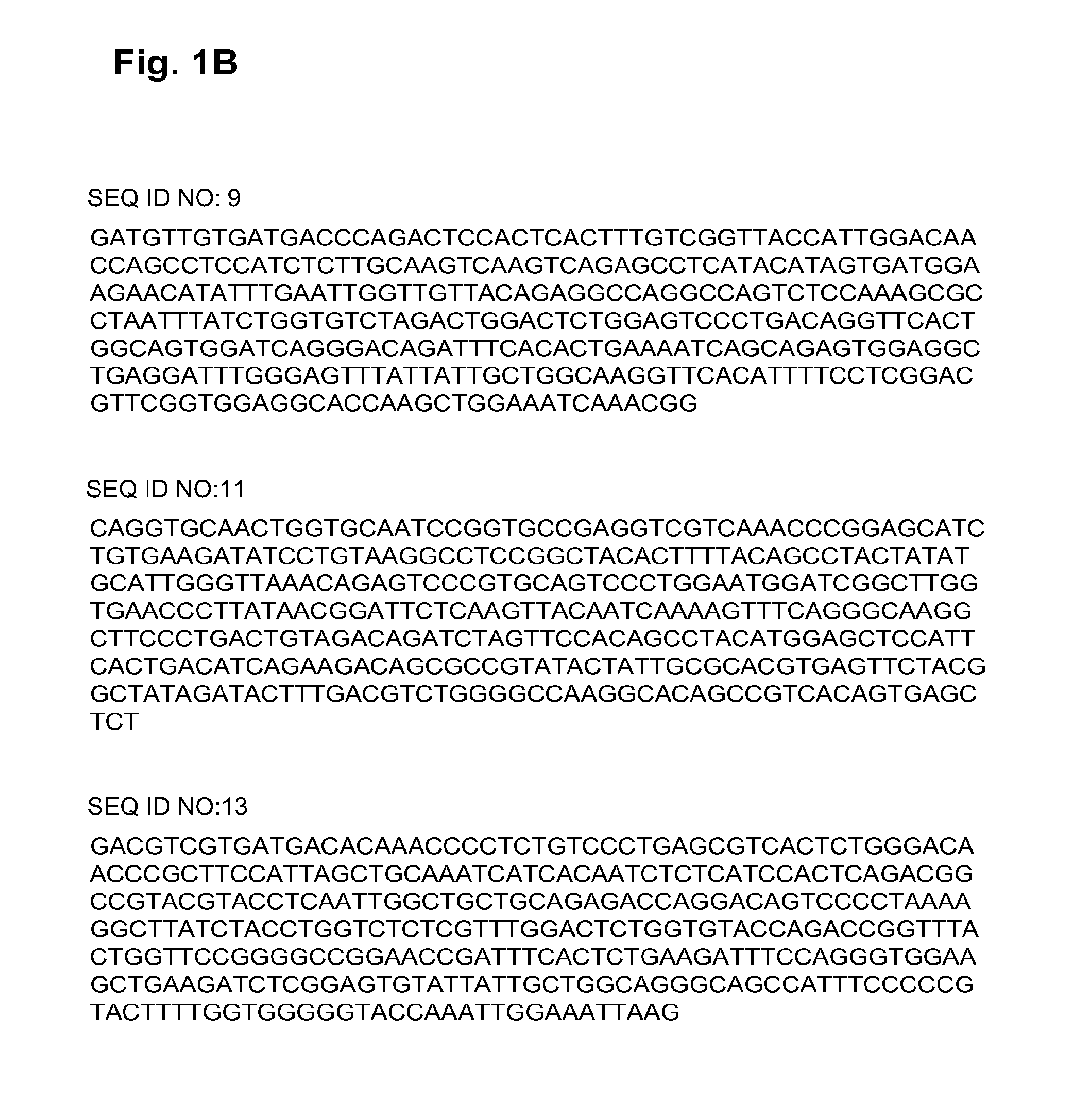 Antibodies that specifically bind to the EphA2 receptor