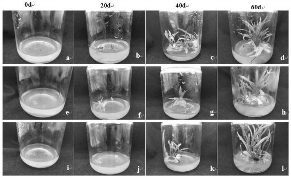 High-temperature detoxification method based on lily scales and leaf tips and application of high-temperature detoxification method