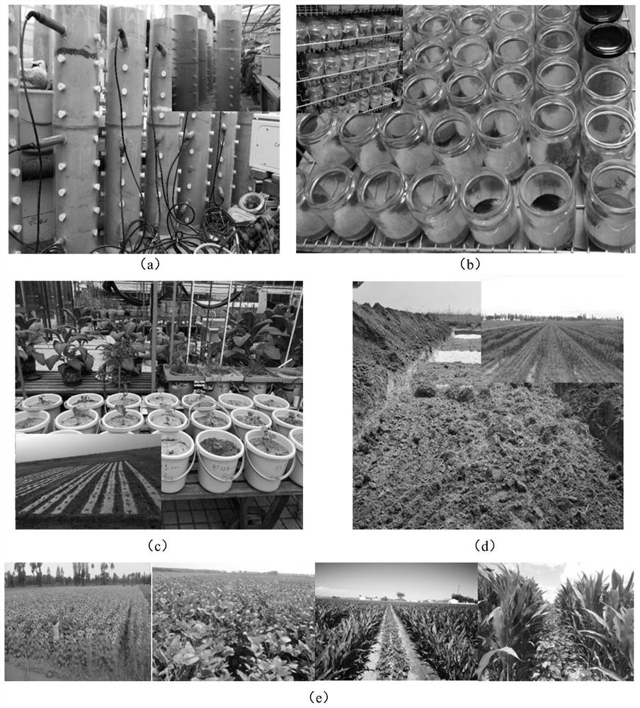 A method for rapid improvement of soil nutrient storage capacity and soil fertility in saline-alkali farmland in irrigated areas