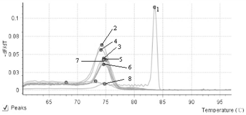 A fox retrovirus sybr Green Ⅰ fluorescent RT-PCR kit and its application method