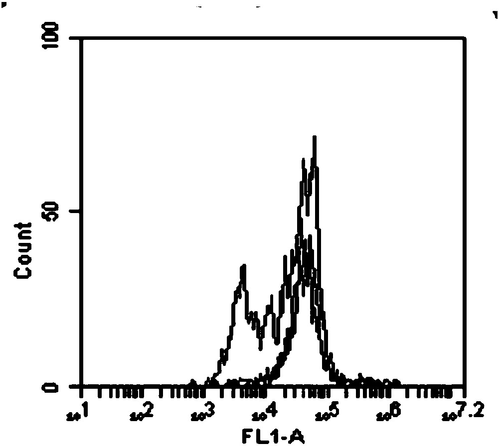 Monoclonal antibody capable of blocking human Tim-3 function as well as coding gene and application of monoclonal antibody