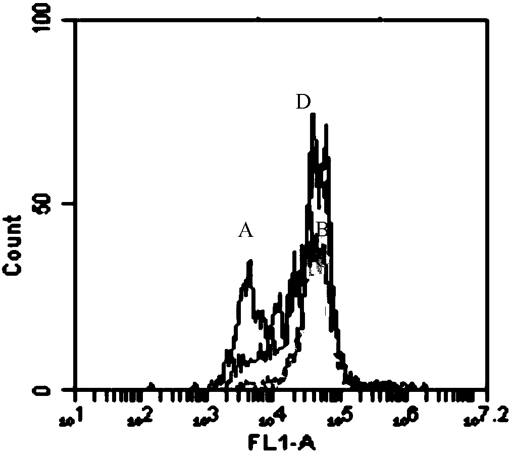 Monoclonal antibody capable of blocking human Tim-3 function as well as coding gene and application of monoclonal antibody