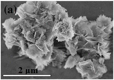 Preparation method for flower-like titanium nitride/carbon nitride/graphene composite nanomaterial