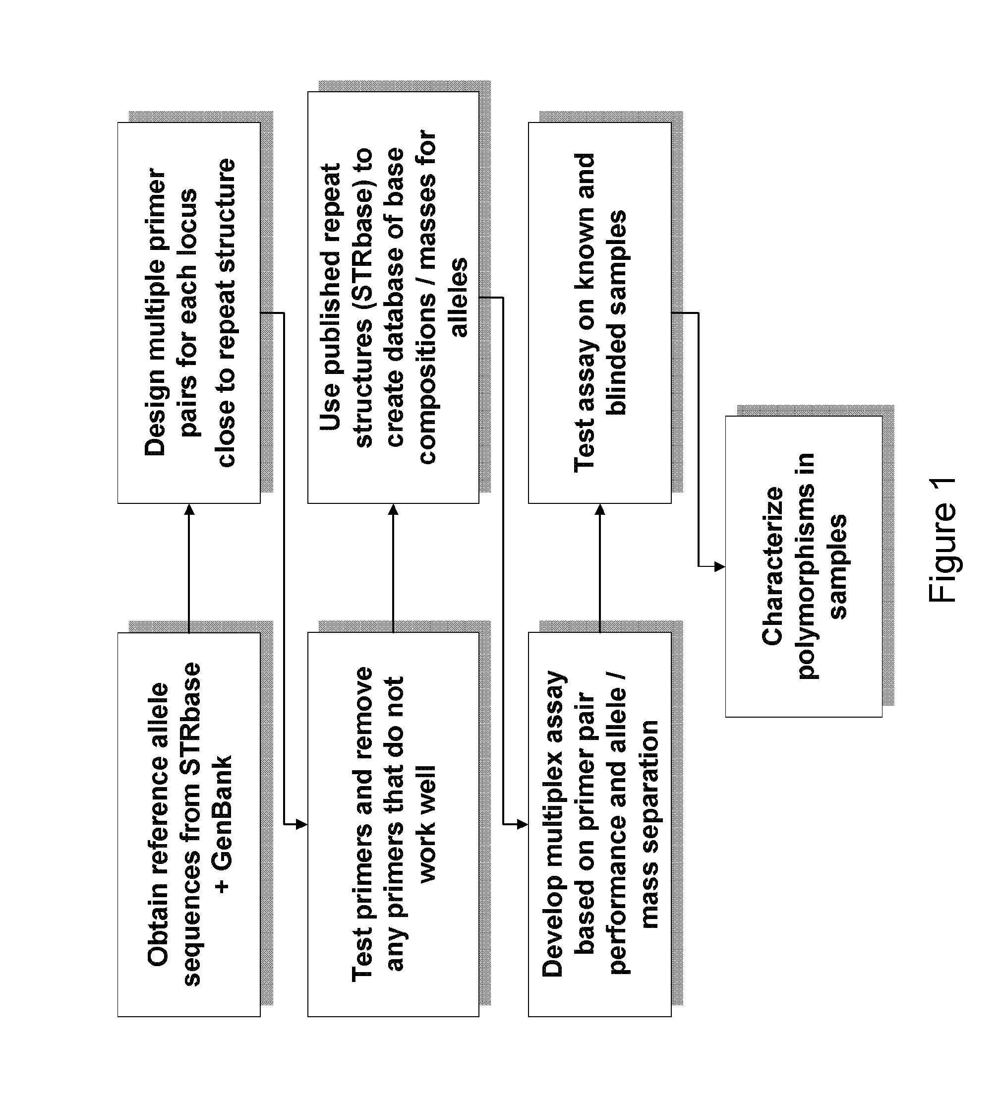 Methods For Rapid Forensic DNA Analysis