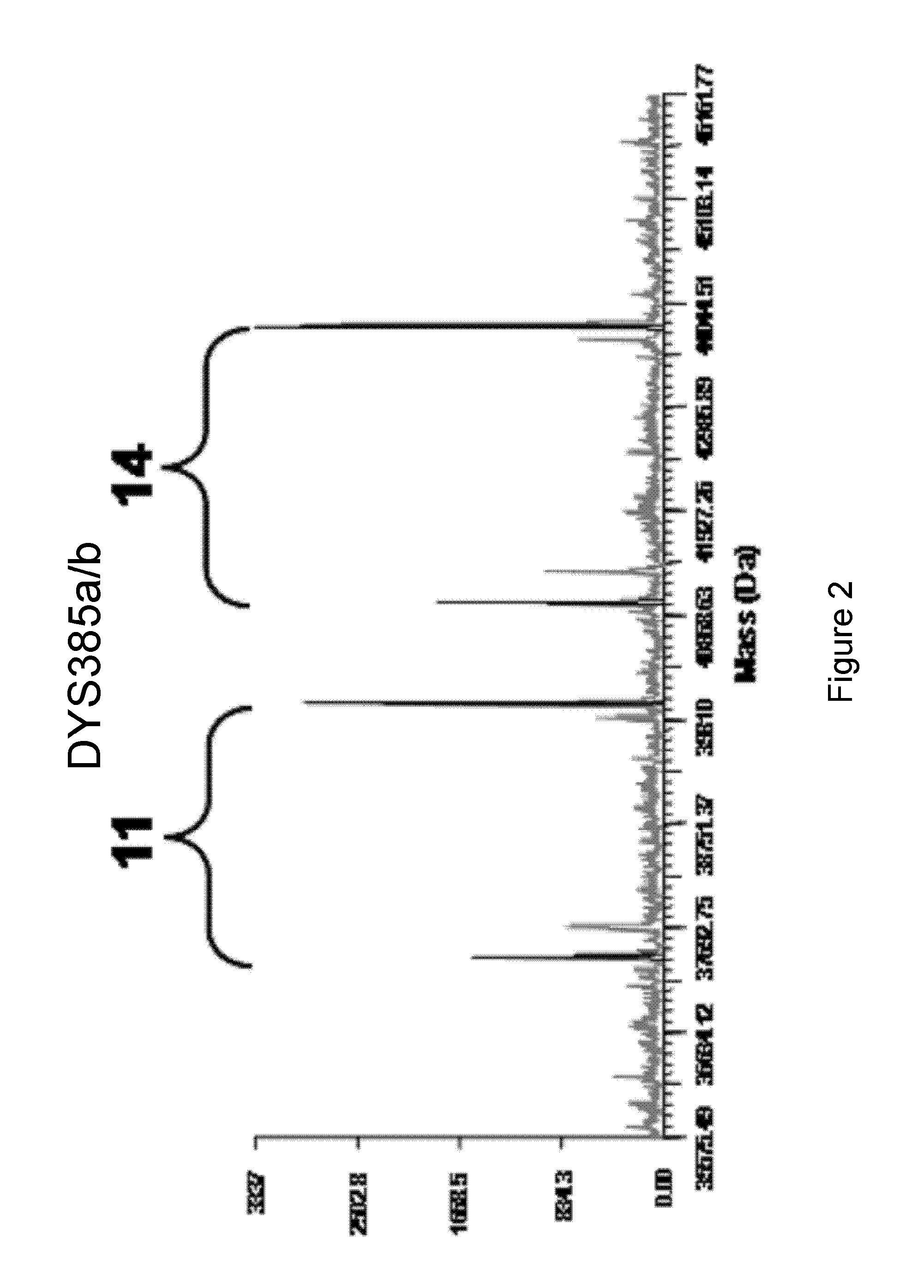 Methods For Rapid Forensic DNA Analysis
