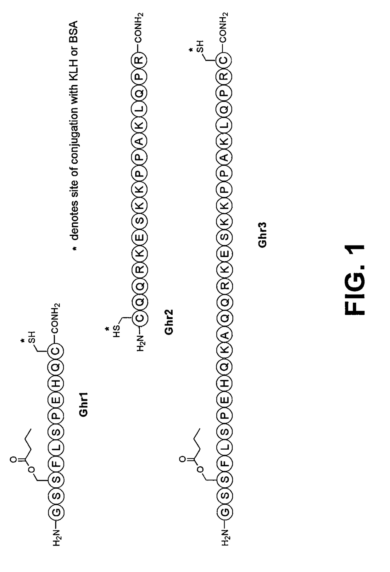 Vaccines and methods for controlling adiposity