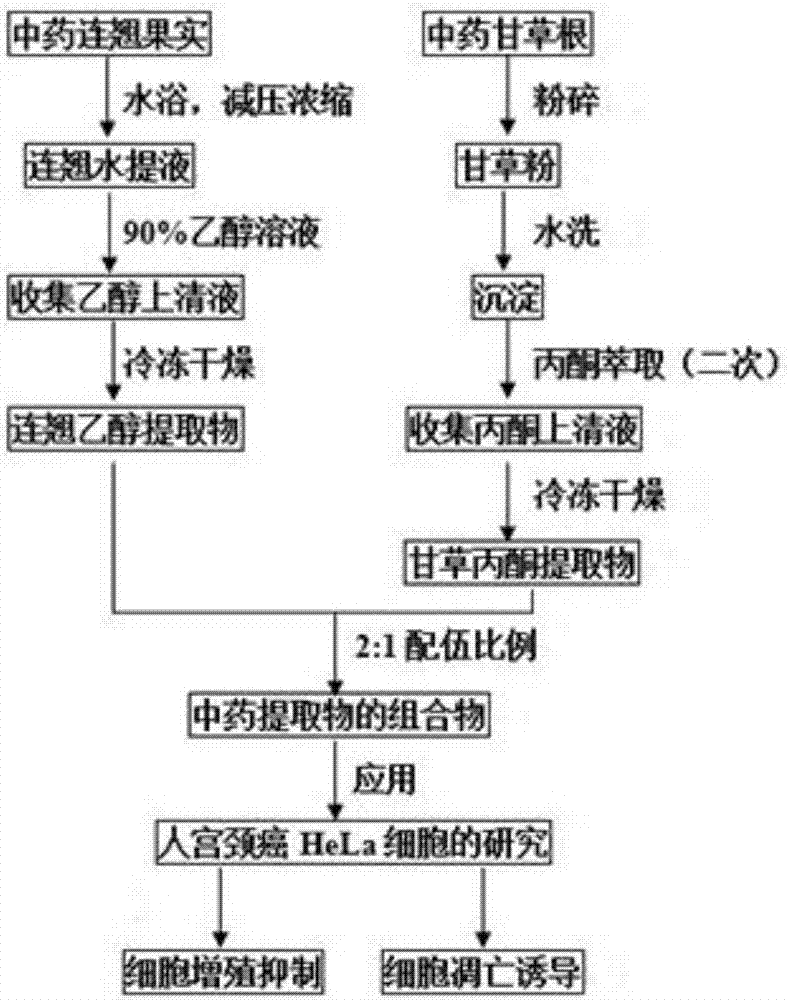 Traditional Chinese medicine extract composition for treating cervical cancer