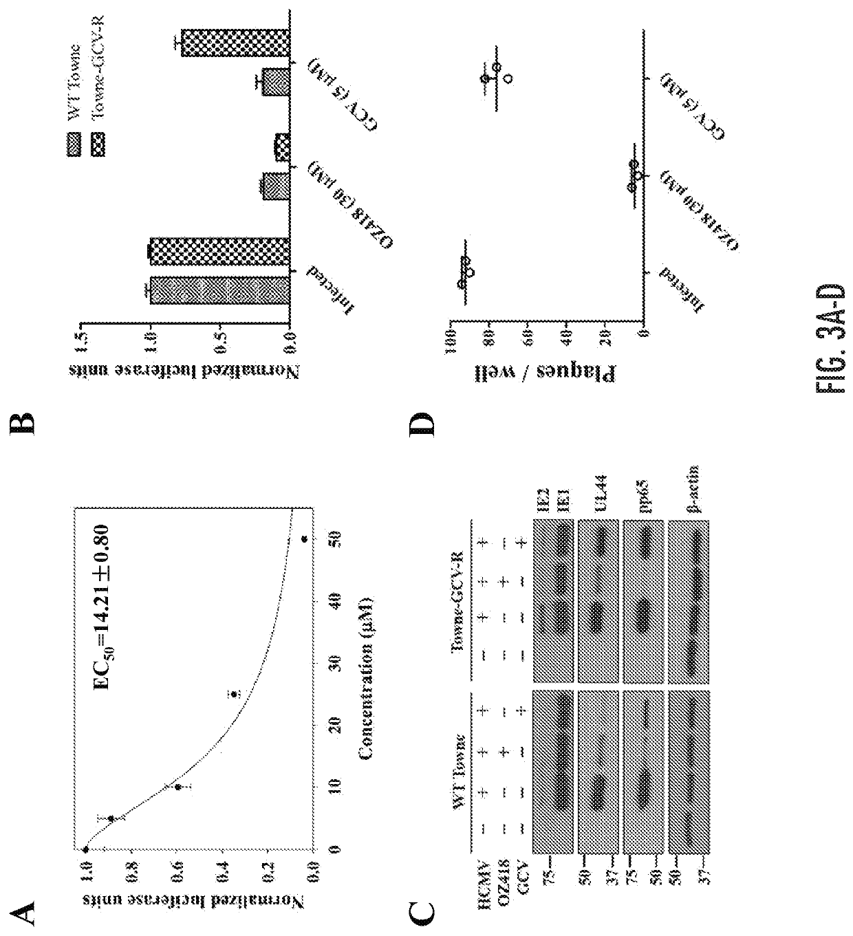 Ozonides for treating or preventing virus infections