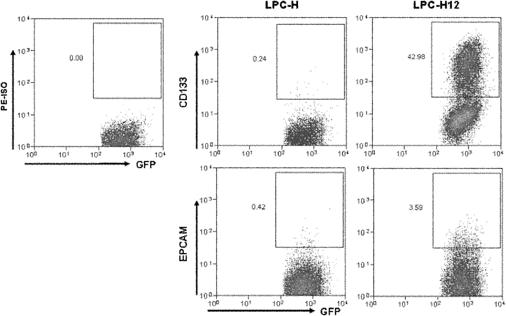 Mouse liver tumor cell line for highly expressing CD133 and preparation method thereof
