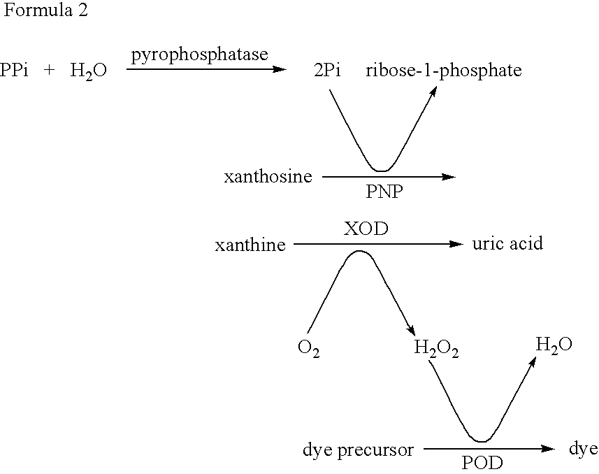 Method for detecting bacteria of the genus Mycobacterium (acid-fast bacteria) and kit for the same