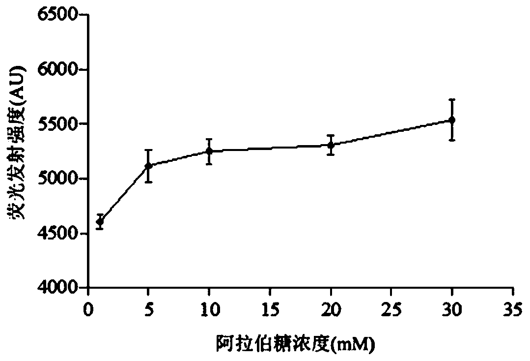 Method for screening beta-alanine synthetase by double fluorescence