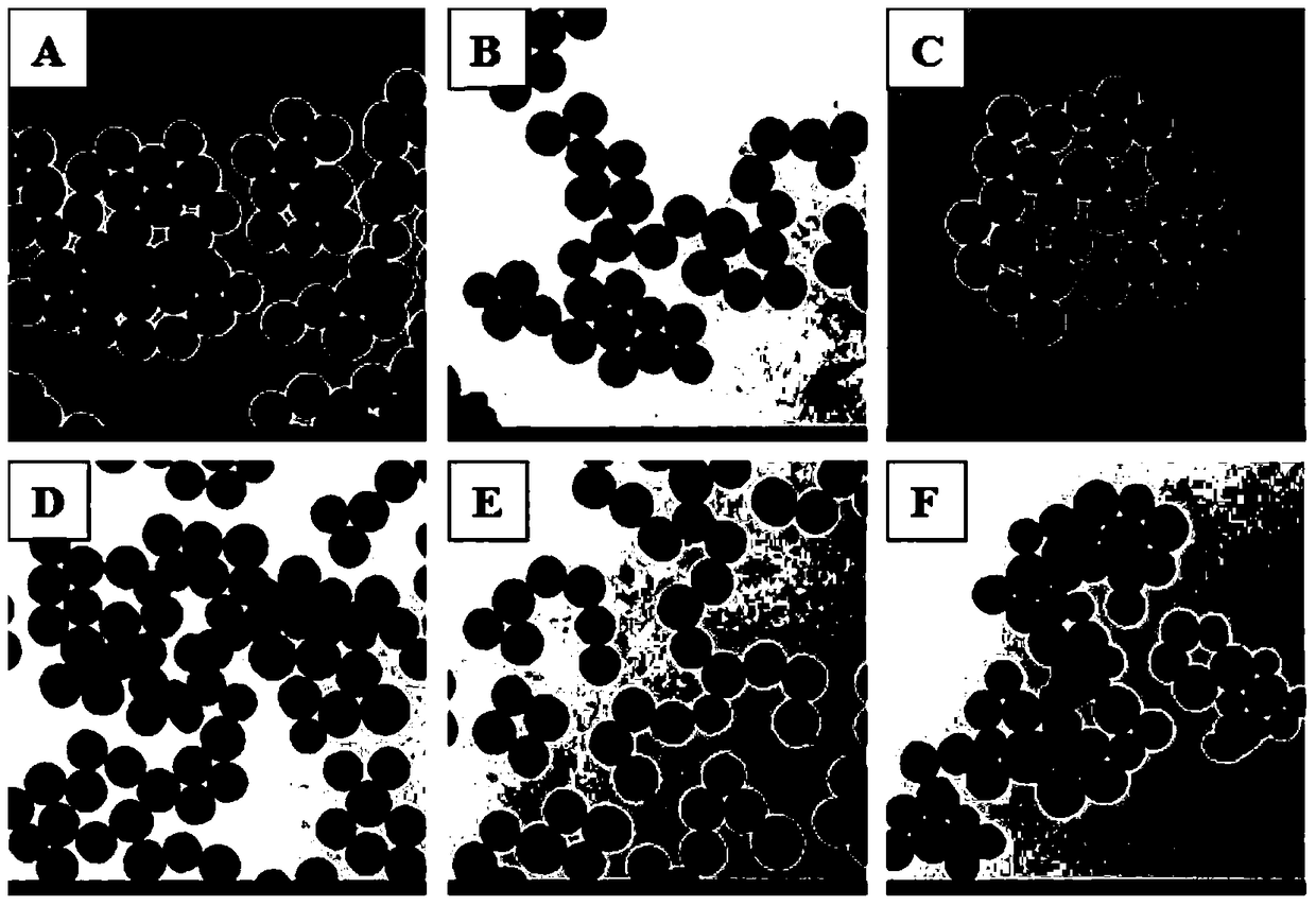 Polydopamine-metal ion composite nanoparticles and its preparation method and application